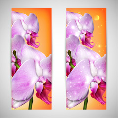 set of cards with blossom orchid
