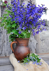 Beautiful bouquet of bright salvia flowers