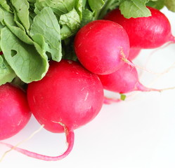 Radieschen
