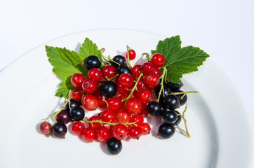 Currants