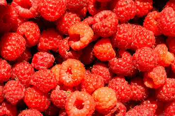 Raspberries