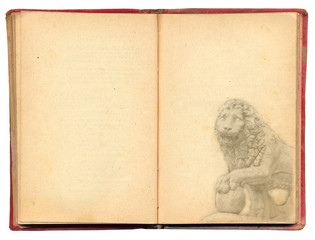 Old book with lion