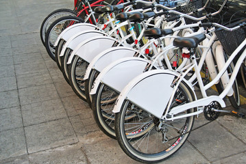 Group of bicycles parked together