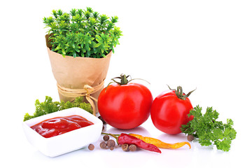 Still life tomatoes ketchup and herbs isolated on white