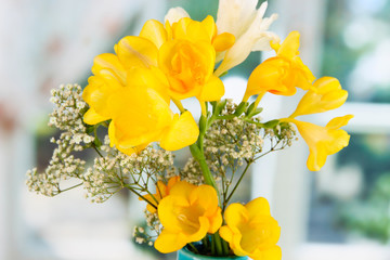 Beautiful bouquet of freesia in blue vase