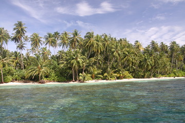 wyspa tropikalna