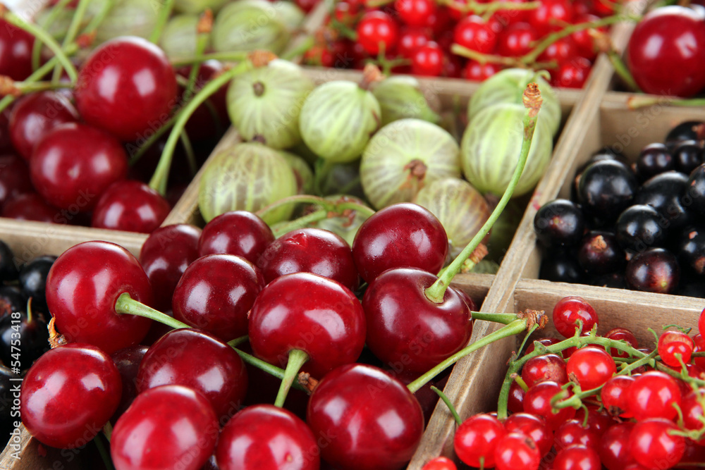 Poster Different summer berries in wooden crate, close up