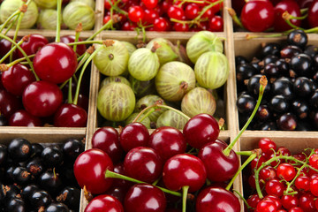 Different summer berries in wooden crate, close up