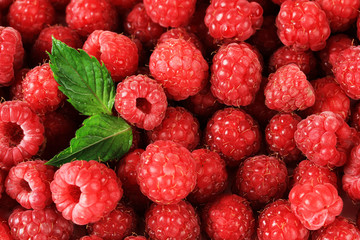 Ripe sweet raspberries, close up