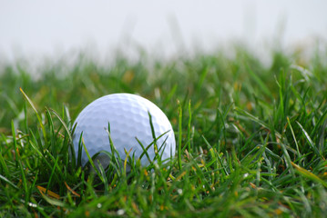Golfball in grass