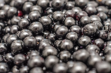 Bilberries Close Up Background
