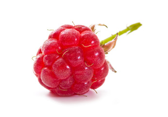 raspberries