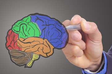Businessman hand write Head Brain