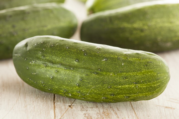Organic Green Pickle Cucumbers