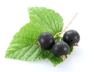 Schwarze Johannisbeeren isoliert auf weißem Hintergrund