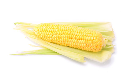 Corn isolated on a white background