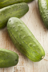 Organic Green Pickle Cucumbers