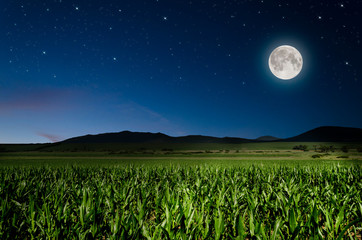 full moon background © klagyivik