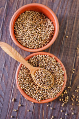 coriander