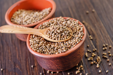 coriander