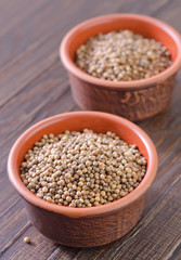 coriander