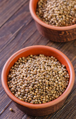 coriander
