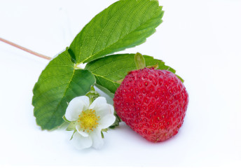 Strawberries berry on white background with flowers