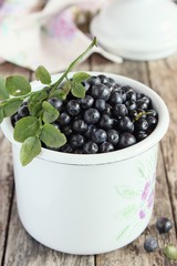 Blueberry in the white bowl