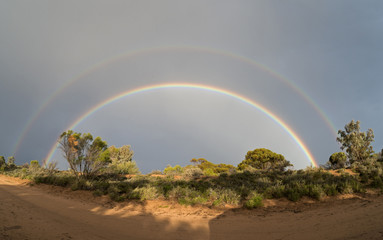 rainbow in the desert country
