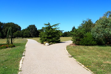 Jardin