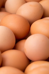Close up of brown eggs