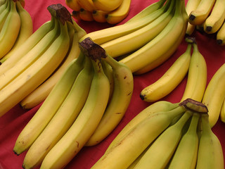 Yellow Ripe Bananas for sale at Market