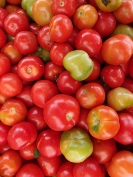 Tomatoes of Red, orange, and green color for sale at farmers mar