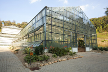 glass house plantation, outdoor glass house plantation