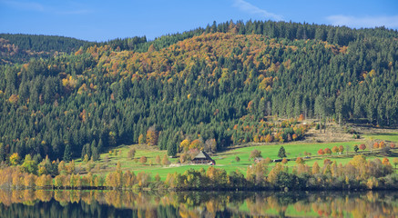 Herbst am Schluchsee im schwarzwald