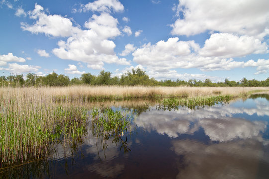 Las Tablas De Daimiel