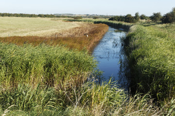 West Canvey Marsh RSPB Reserve, Canvey Island,