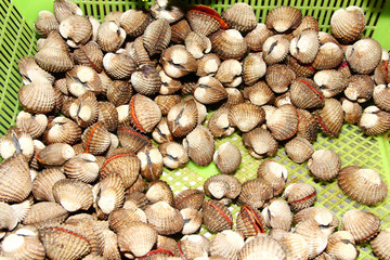 Cockles