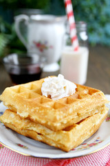 Two waffles