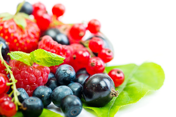 Wild berries