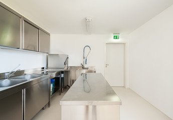 Professional kitchen in modern style