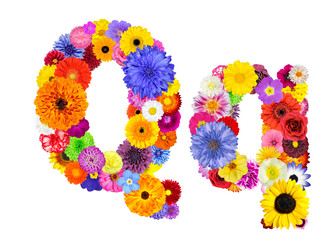 Flower Alphabet Isolated on White - Letter Q