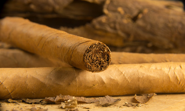 Cigars All Rolled Up With Loose Tobacco Leaves