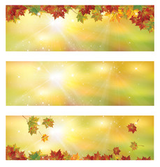 Fototapeta na wymiar Vector autumn banners.