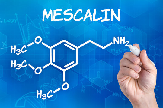Hand zeichnet chemische Strukturformel von Mescalin