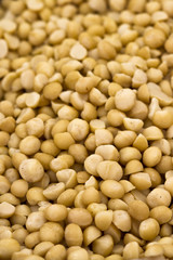 Macadamia nuts closeup.