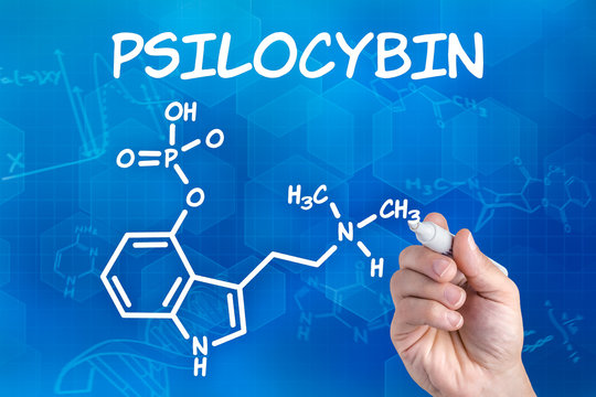 Hand zeichnet chemische Strukturformel von Psilocybin