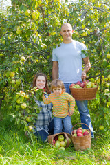 Happy family with   apples in garden