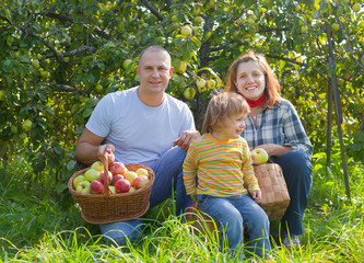 Happy family with  harvested apples