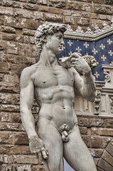 Michelangelo's David Sculpture Florence, Italy